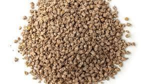 NOCCIOLINO DI OLIVA - PUBBLICATA LA UNI/TS 11861:2022